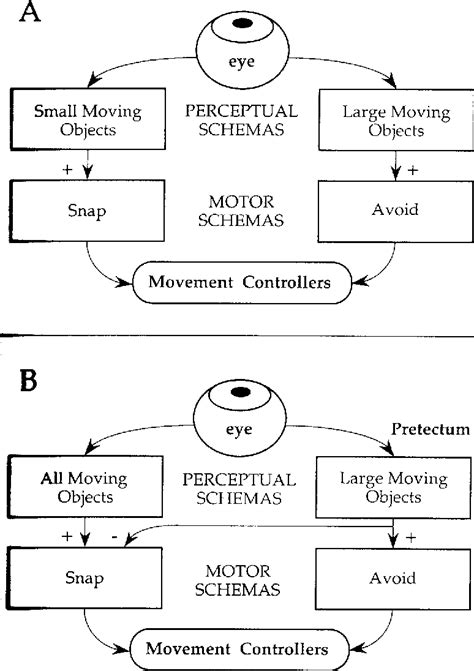 schema theory pdf